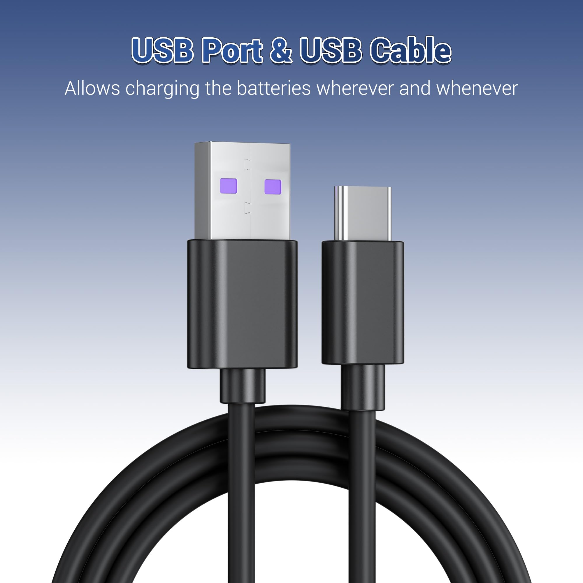 Amazon.com: JJC DB-110 Battery Charger USB Multi-Slot for Ricoh GR